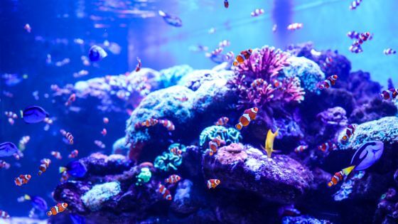 Web, Social, Content, Search: The Four Parts of a Digital Ecosystem That Actually Works