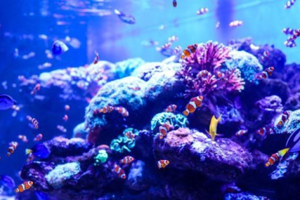 Web, Social, Content, Search: The Four Parts of a Digital Ecosystem That Actually Works