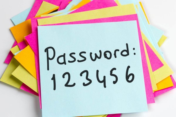 Protect your Passwords